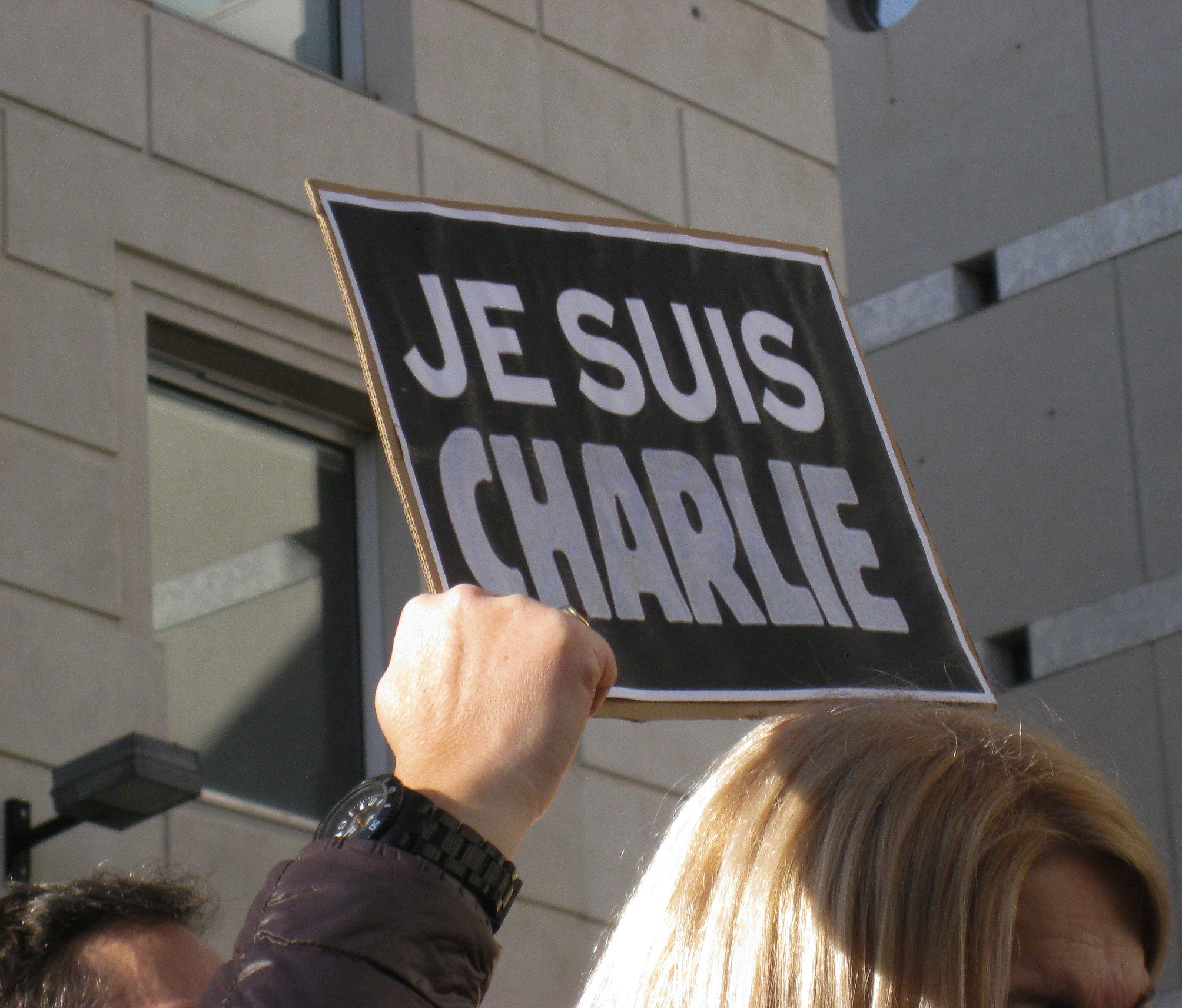 Das neue Gesetz ist auch eine Reaktion auf die islamistischen Attentate, die Frankreich seit dem Anschlag auf die Satirezeitschrift Charlie Hebdo erschüttern, Foto: pixabay.com