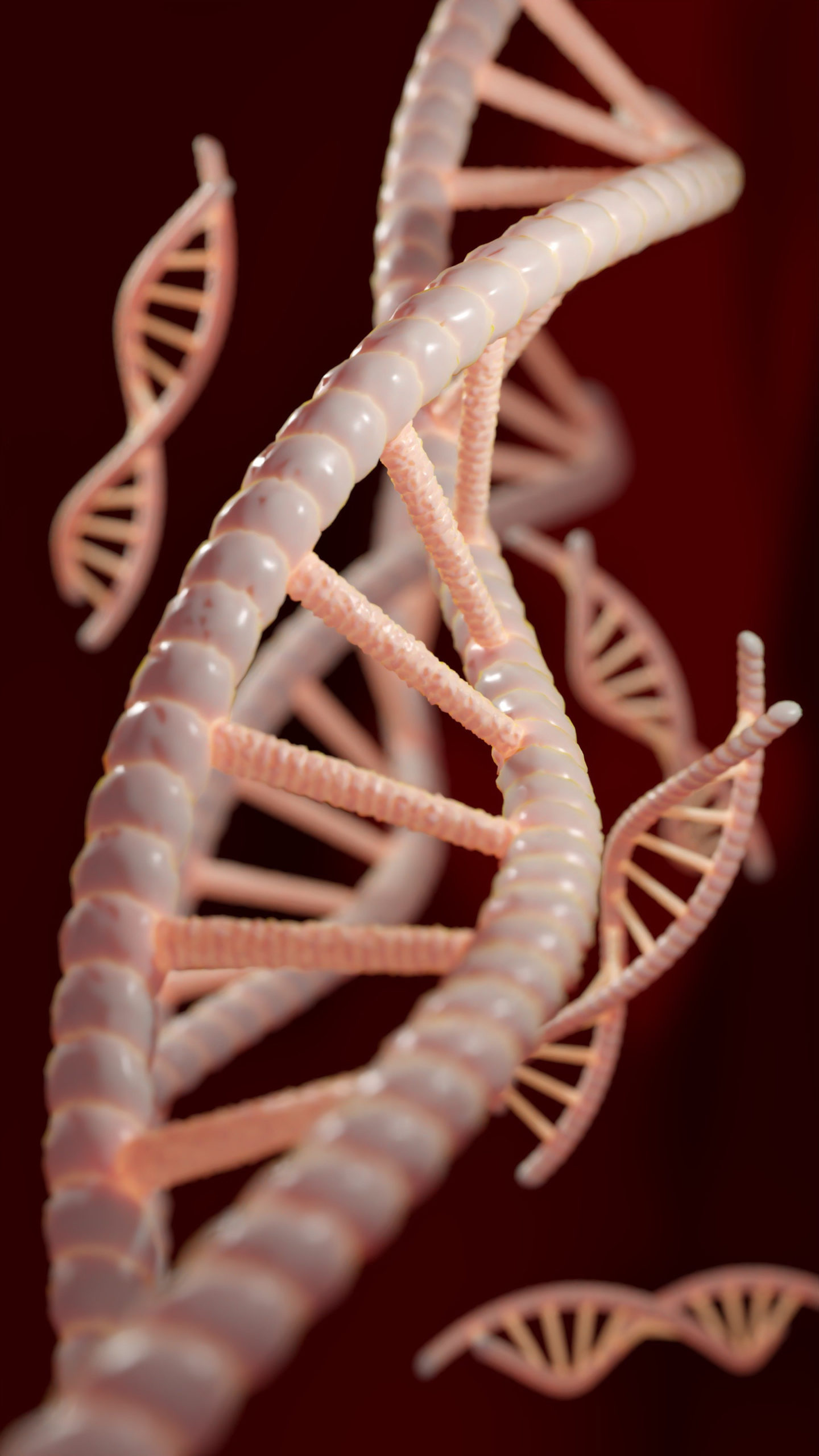 Erkenntnisse über Gene und DNA führten zur Verfeine­rung der Evolutionstheorie, Foto: pixabay.com