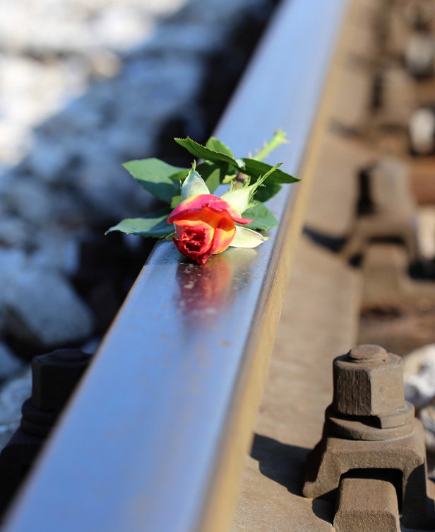 Pflichtberatungen und gesetzliche Wartefristen können Sterbewillige in den gewaltsamen Suizid treiben, Foto: Goran Horvat / Pixabay