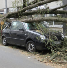 Zunehmend häufige Extremwetterlagen wie Stürme sind ein unverkennbarer Hinweis auf ein sich veränderndes Klima – doch das Argument überzeugt nicht alle, Foto: thommas68 / Pixabay